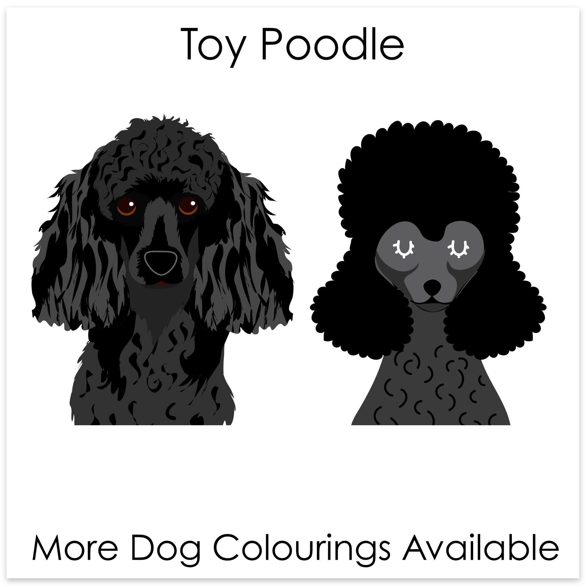 
    Toy Poodle
  