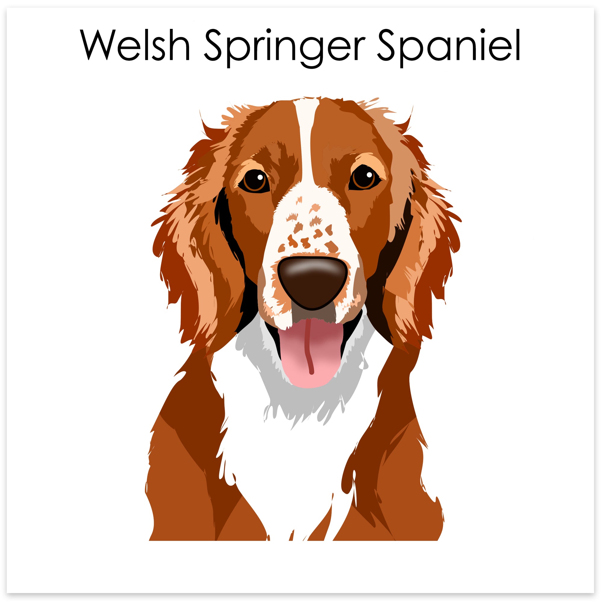 
    Welsh Springer Spaniel
  