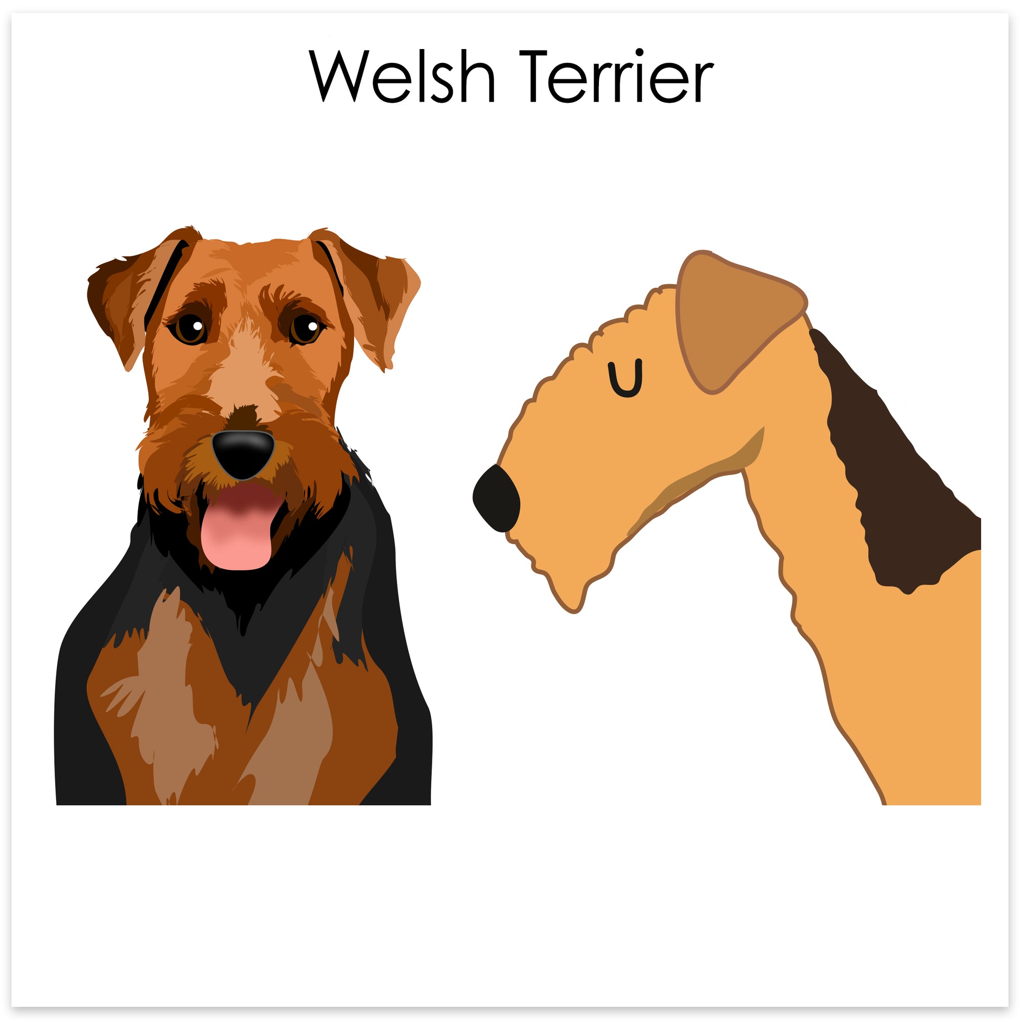 
    Welsh Terrier
  