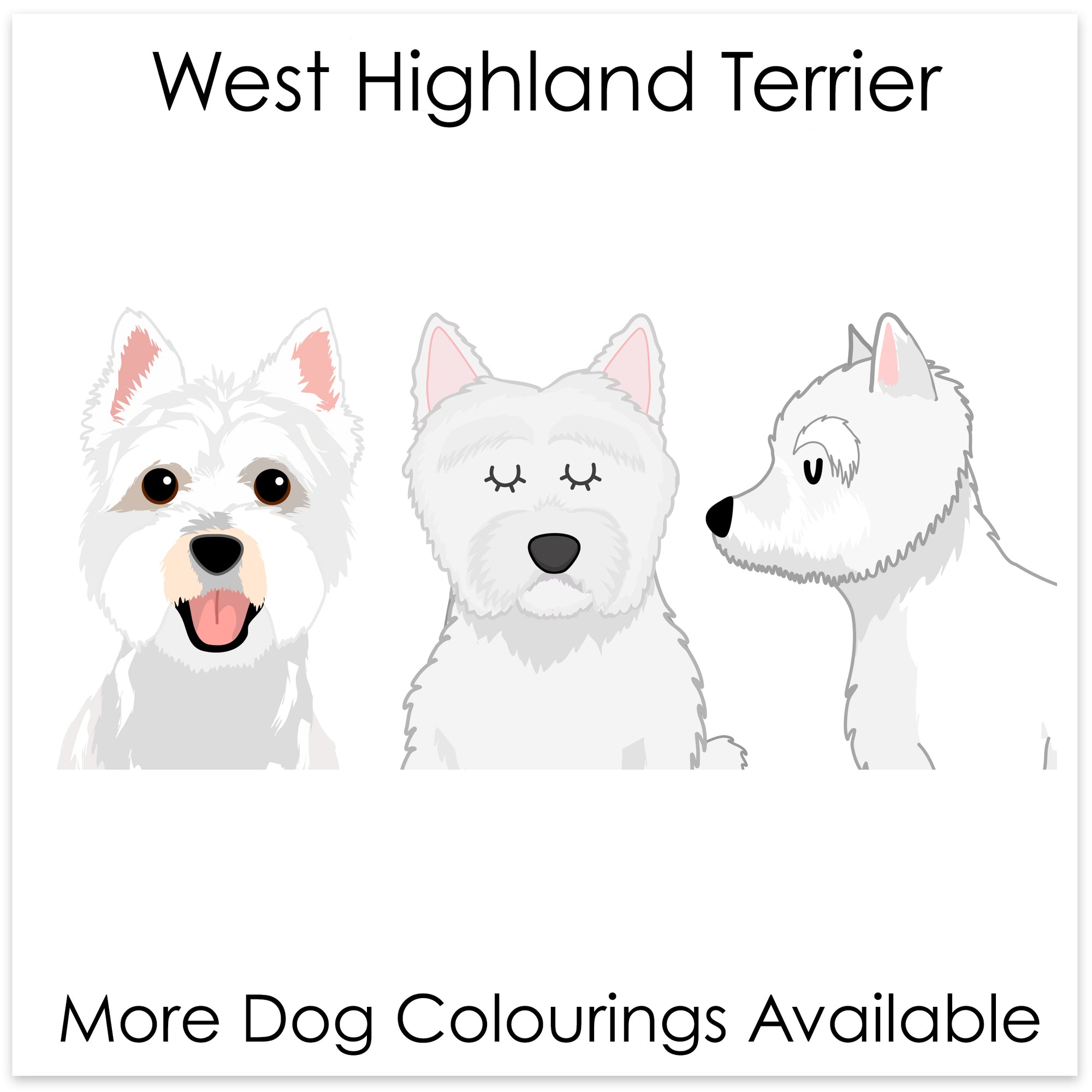 
    West Highland Terrier
  