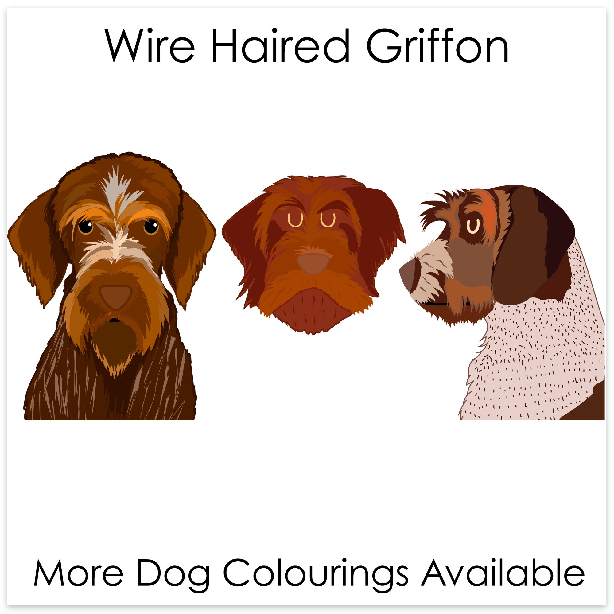 
    Wire Haired Griffon
  