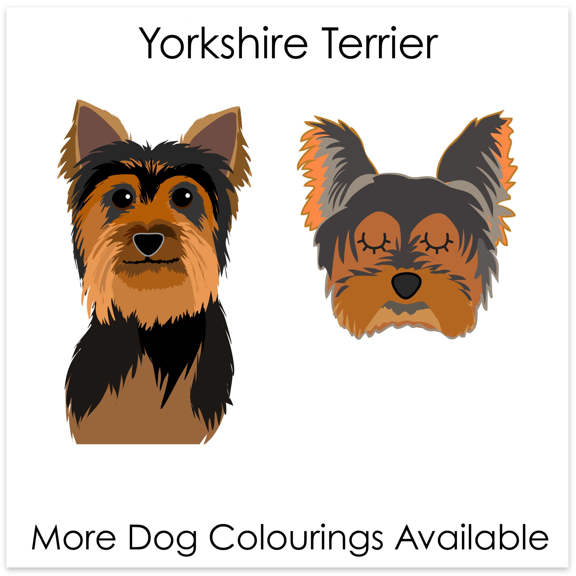 
    Yorkshire Terrier
  