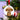 Personalised Shih Tzu Christmas Decoration - White