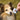 Personalised Pet ID Tag - Winter Walk