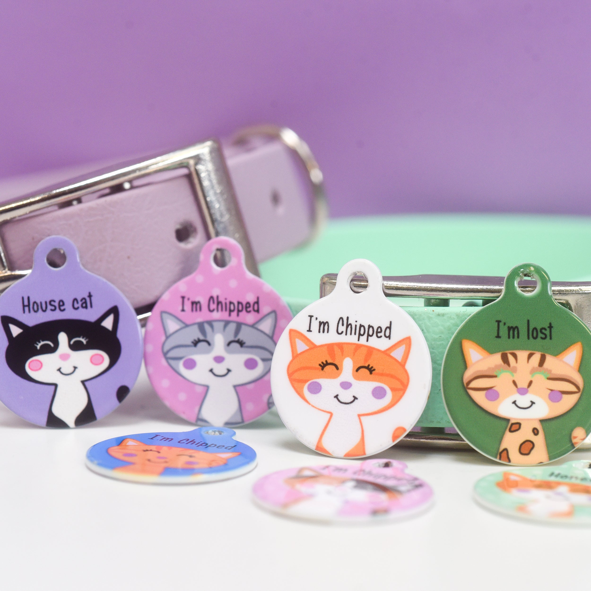 Cat Identity Label Personalised Cat Pet Identity Name Tag – Hoobynoo.co.uk