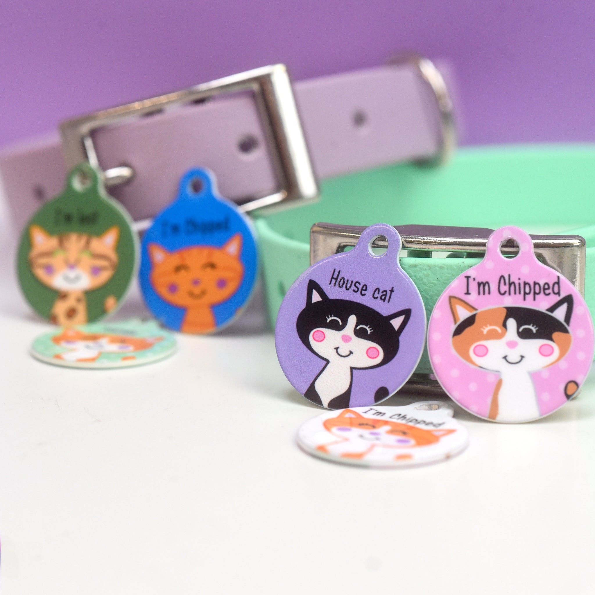 Cat Identity Label Personalised Cat Pet Identity Name Tag - Hoobynoo.co.uk