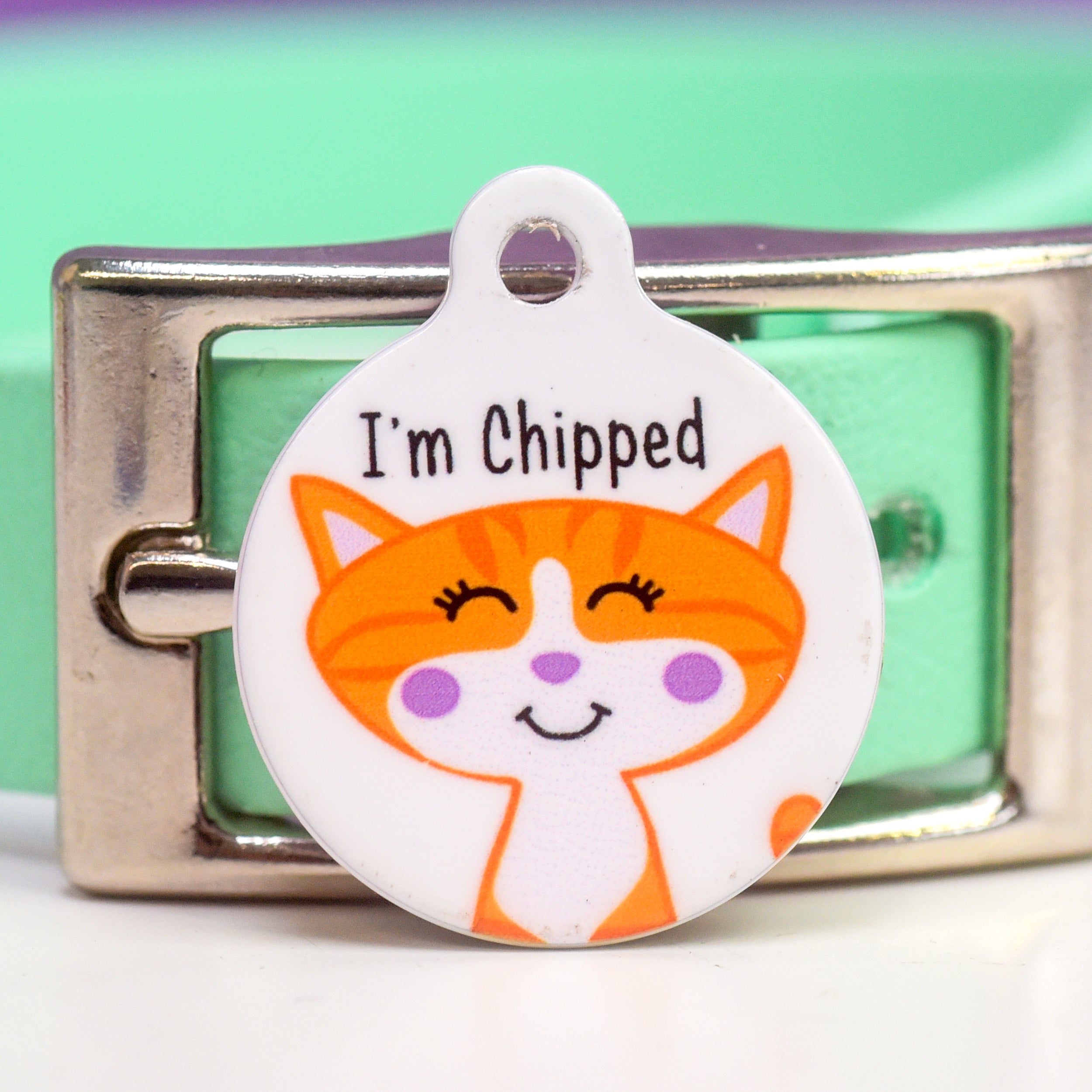 Cat Identity Label Personalised Cat Pet Identity Name Tag – Hoobynoo.co.uk