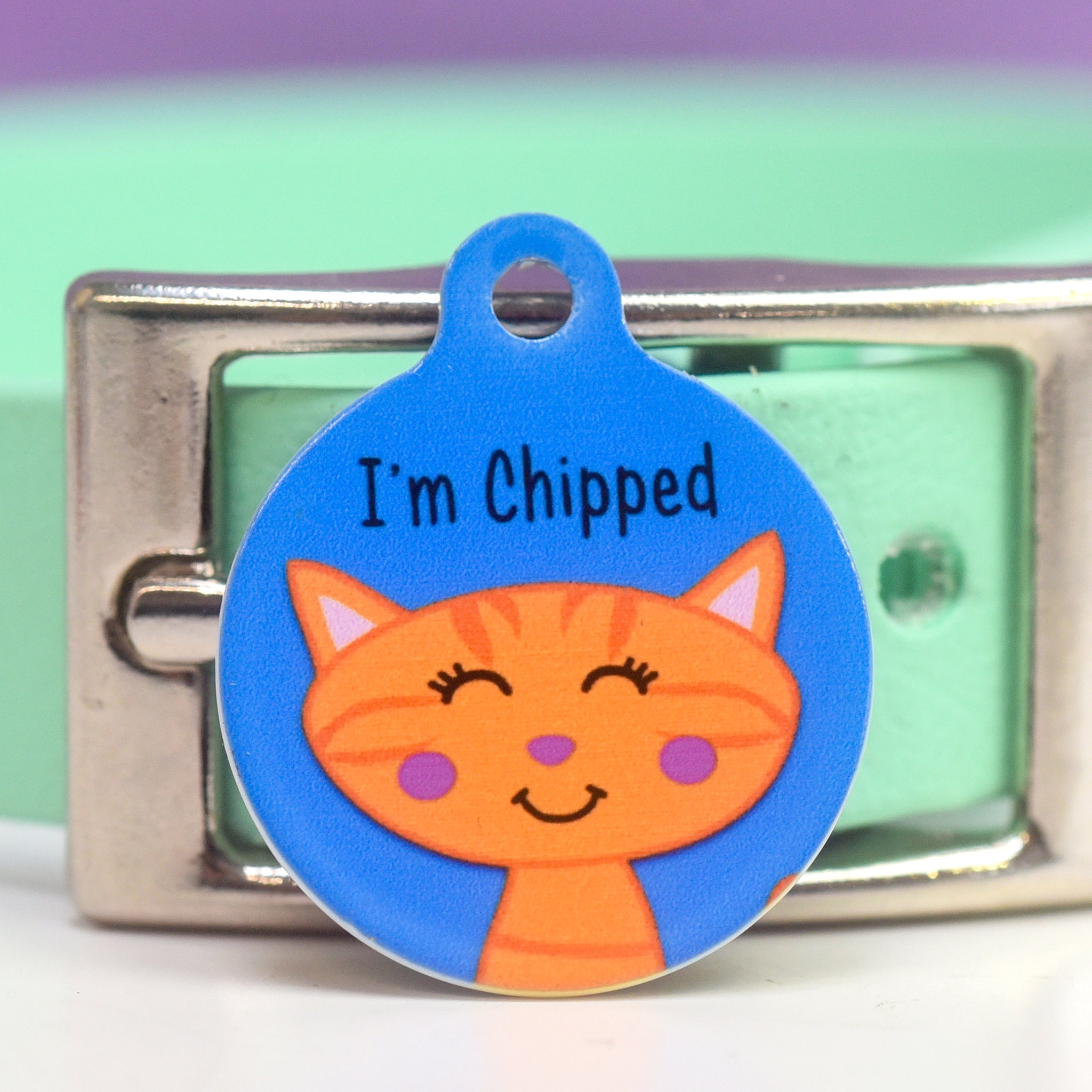 Cat Identity Label Personalised Cat Pet Identity Name Tag - Hoobynoo.co.uk