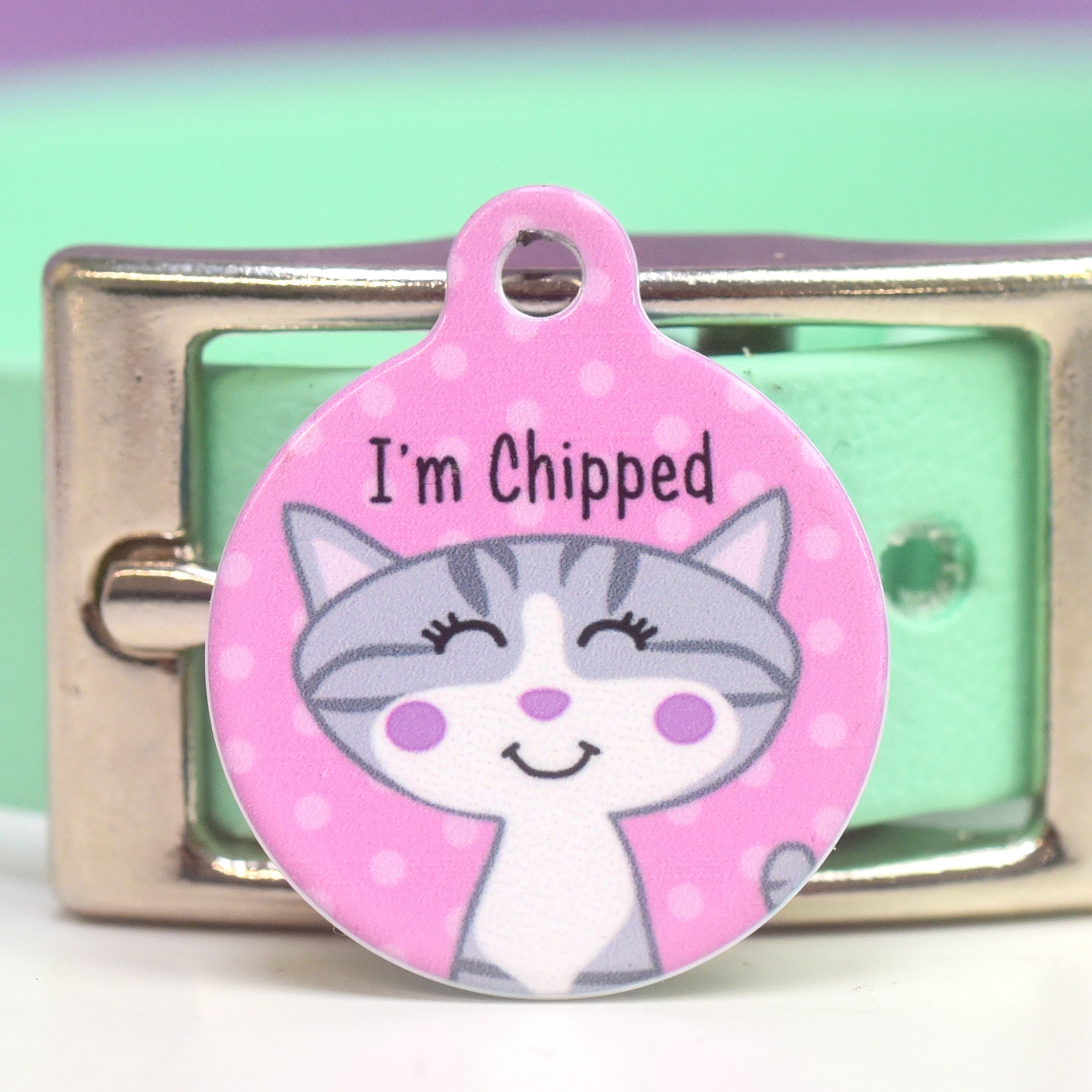 Cat Identity Label Personalised Cat Pet Identity Name Tag – Hoobynoo.co.uk