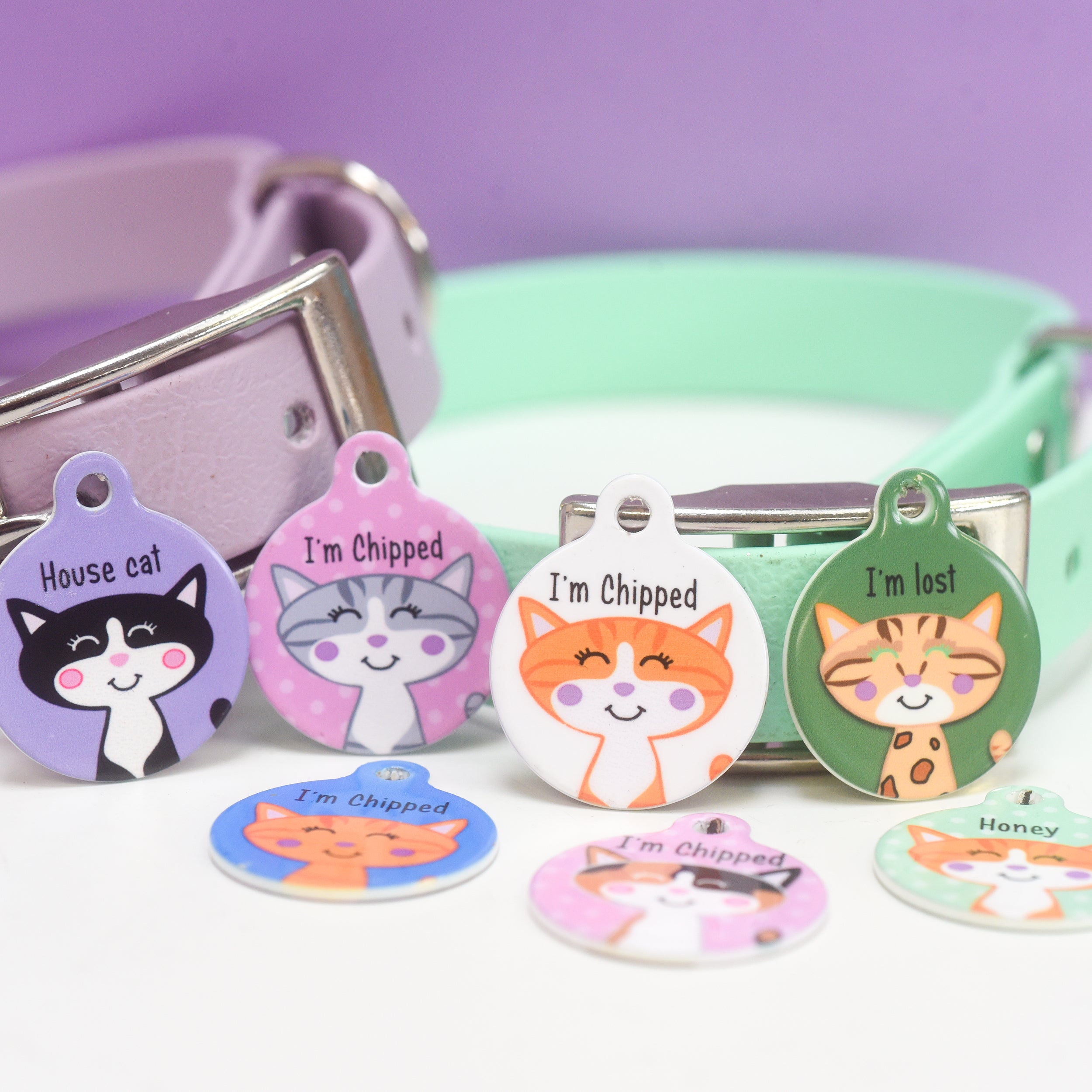 Cat Identity Label Personalised Cat Pet Identity Name Tag – Hoobynoo.co.uk