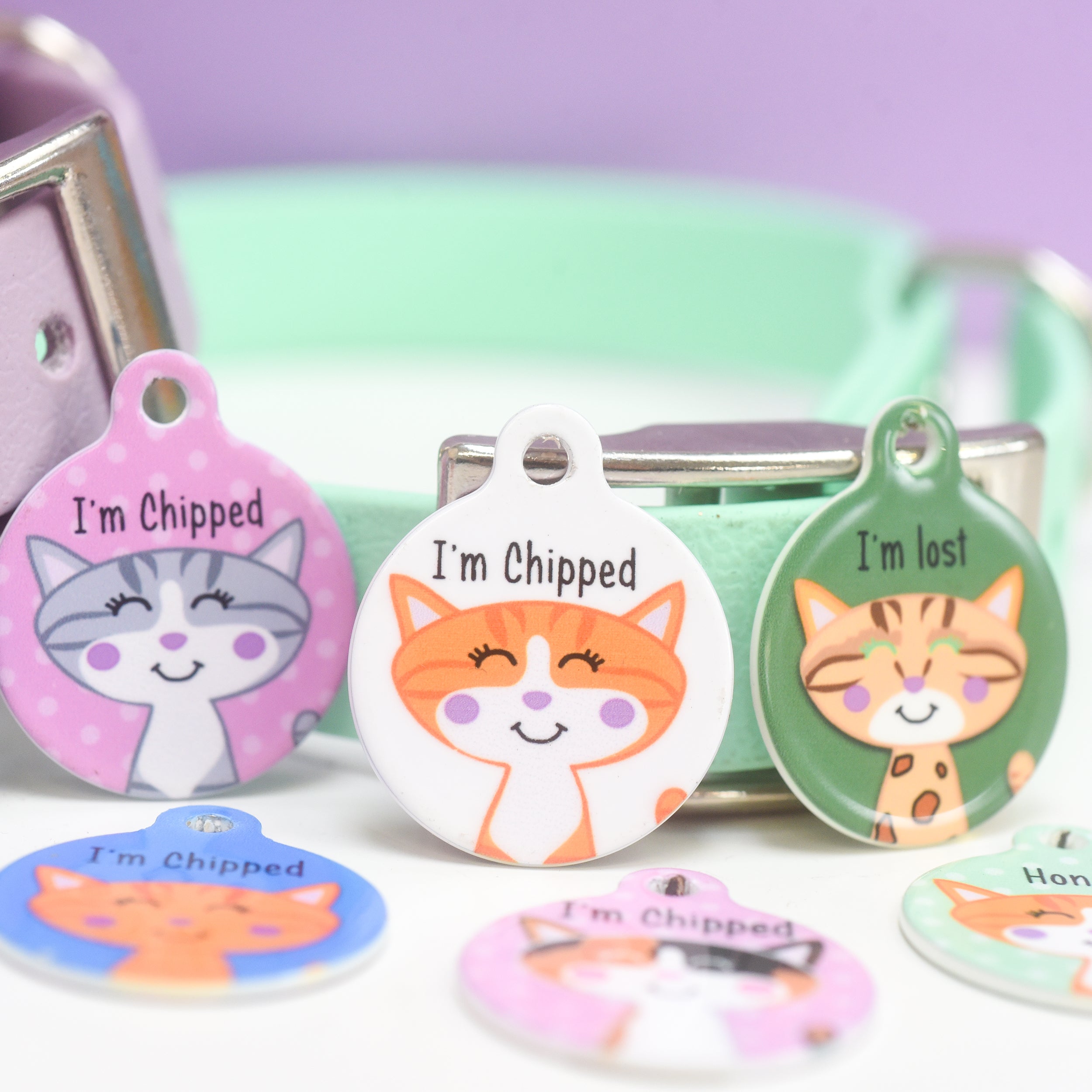 Cat Identity Label Personalised Cat Pet Identity Name Tag – Hoobynoo.co.uk