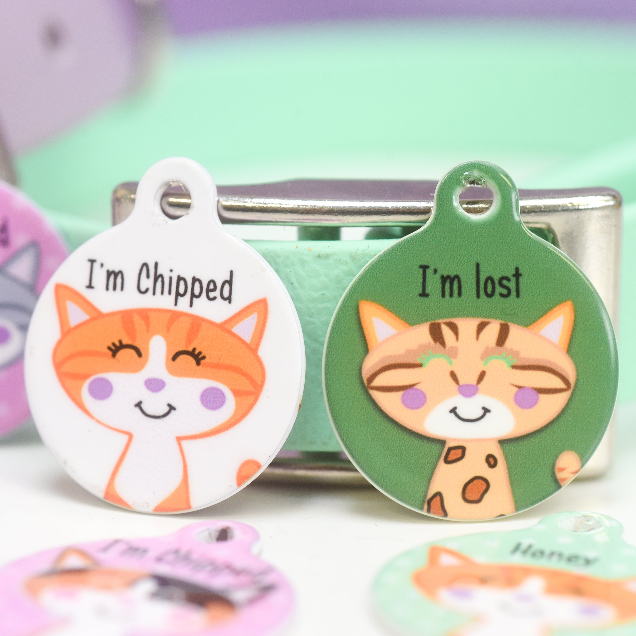 Personalised Cat Pet Identity Name Tag – Hoobynoo.co.uk