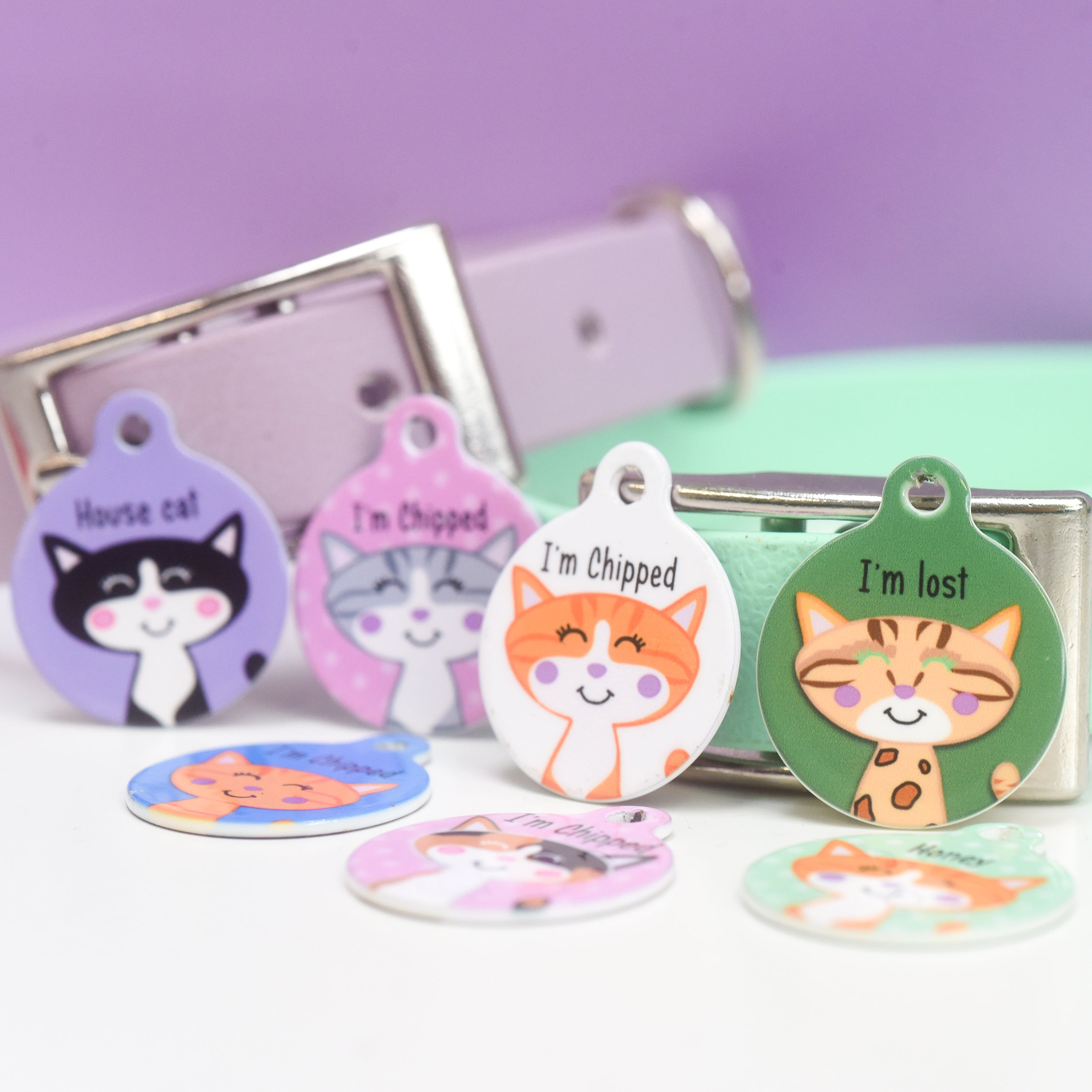 Cat Identity Label Personalised Cat Pet Identity Name Tag – Hoobynoo.co.uk