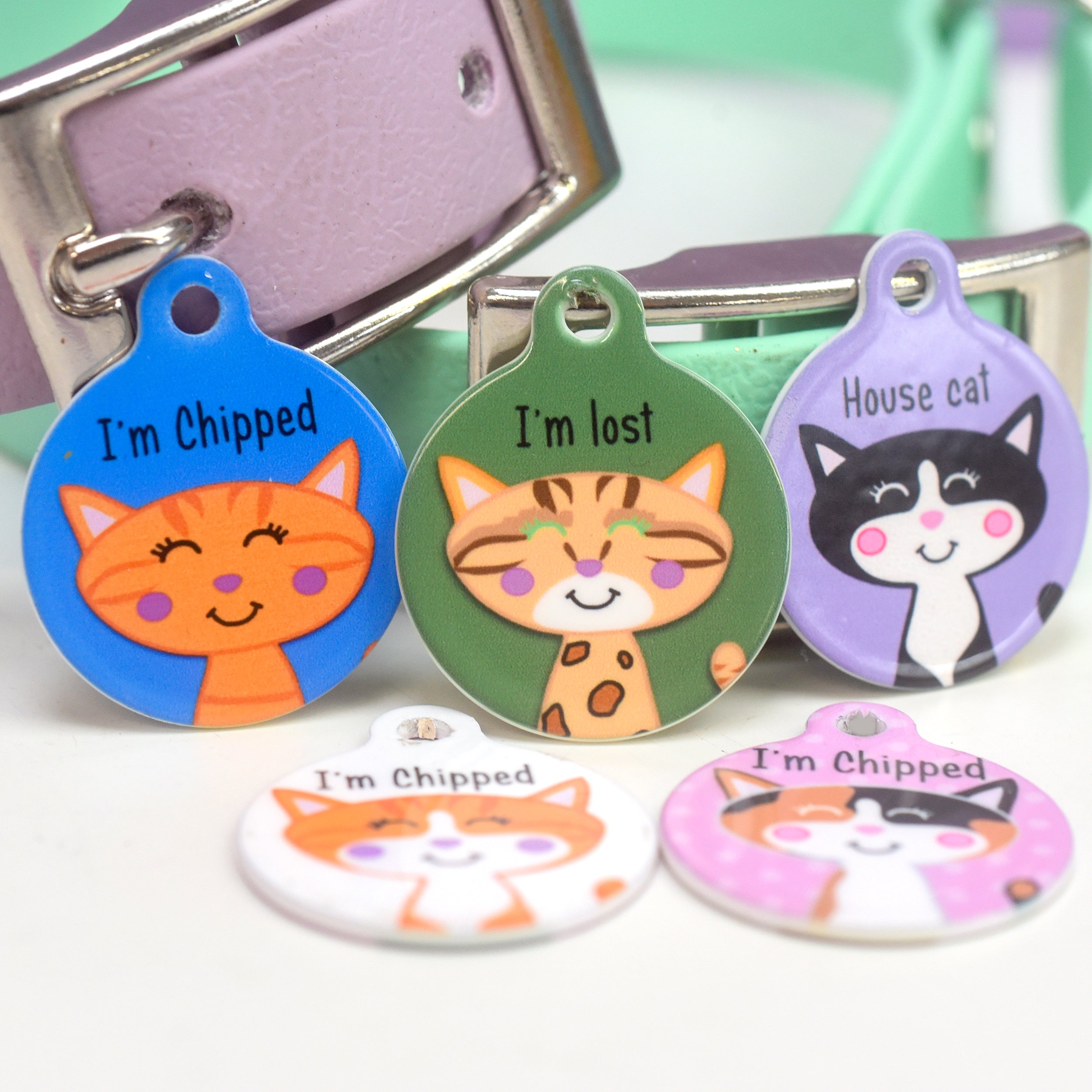 Cat Identity Label Personalised Cat Pet Identity Name Tag – Hoobynoo.co.uk