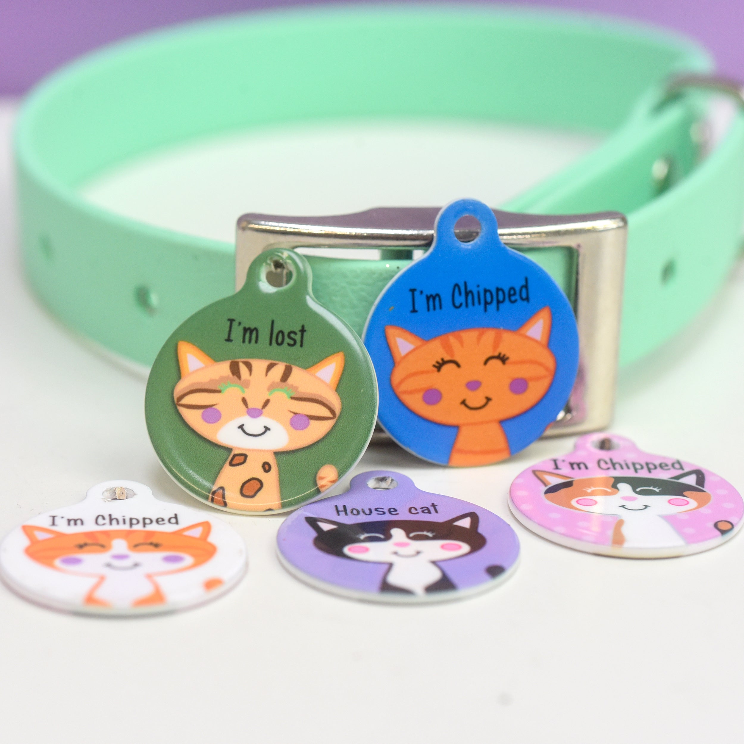 Cat Identity Label Personalised Cat Pet Identity Name Tag – Hoobynoo.co.uk