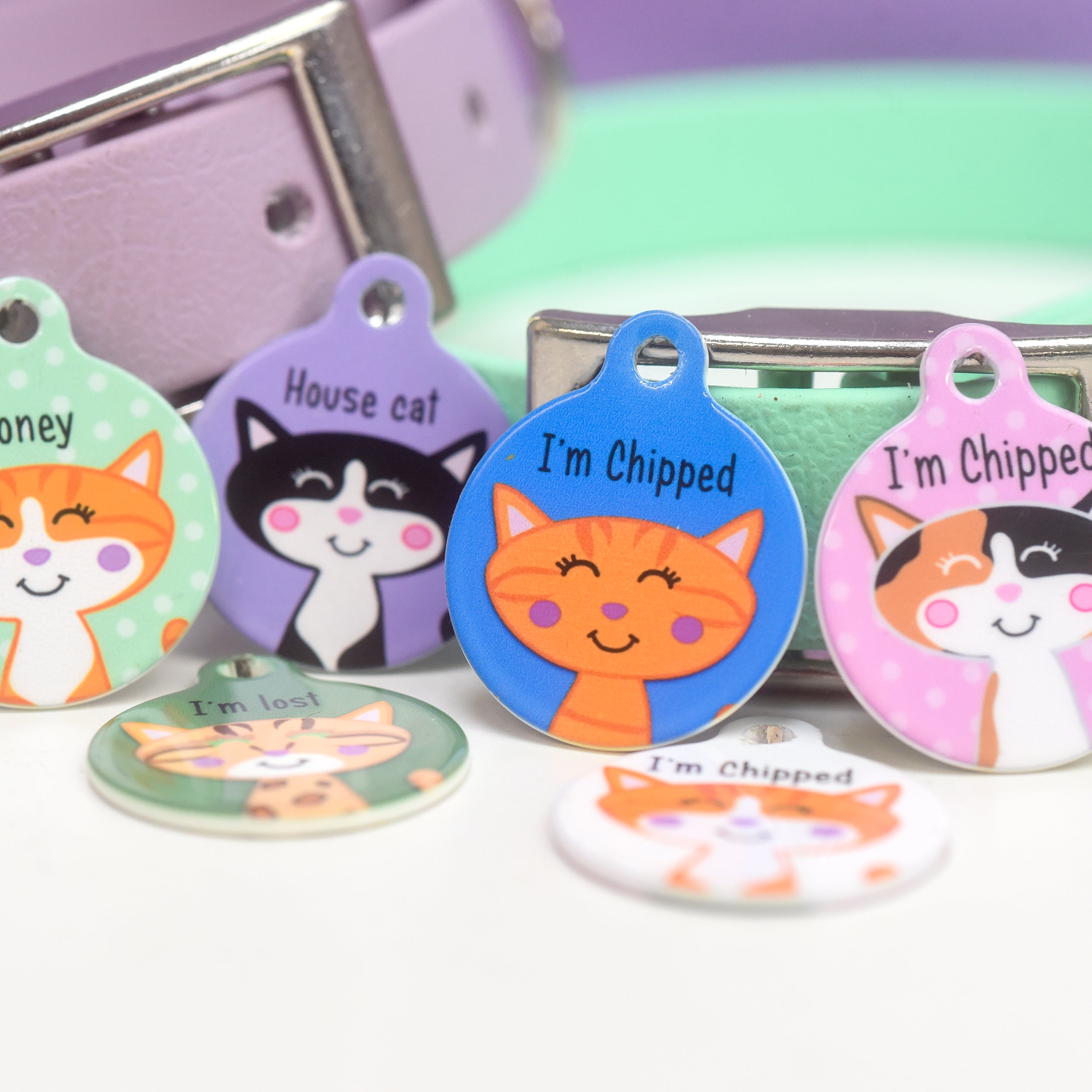 Personalised Cat Pet Identity Name Tag – Hoobynoo.co.uk