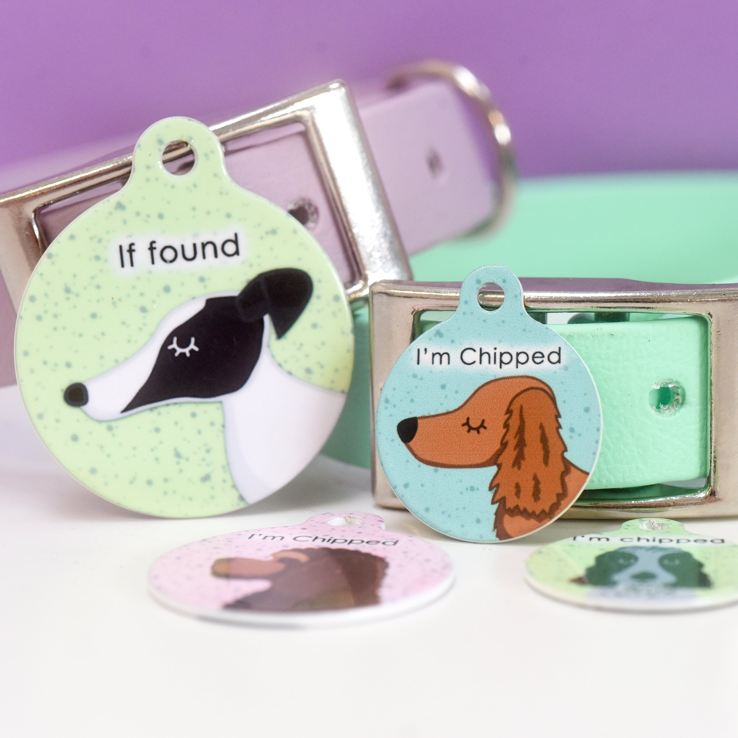 Raspberry Dog Tag Buy Speckled Personalized Dog Tags Fast UK Shipping | £10.95 – Hoobynoo ...