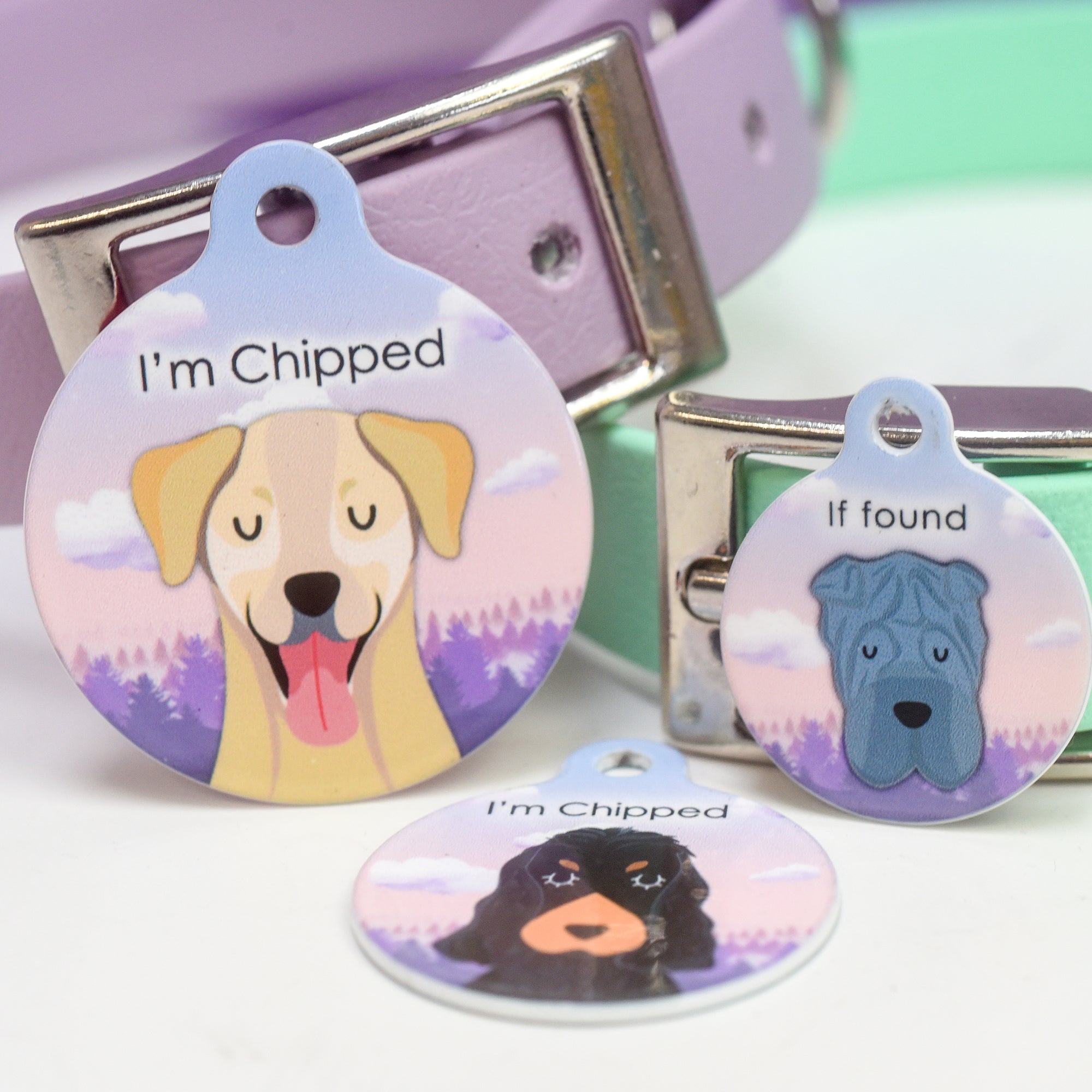 Dog Tag Personalised - Misty Morning Forest Cartoon Illustrations