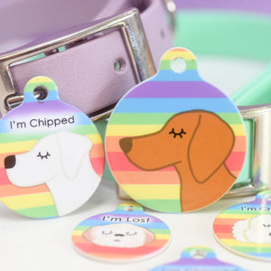 Dog Tag Personalised - Rainbow