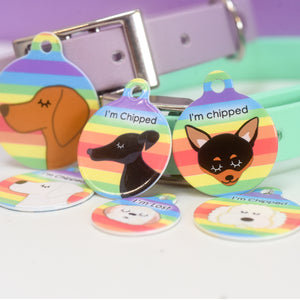 Dog Tag Personalised - Rainbow