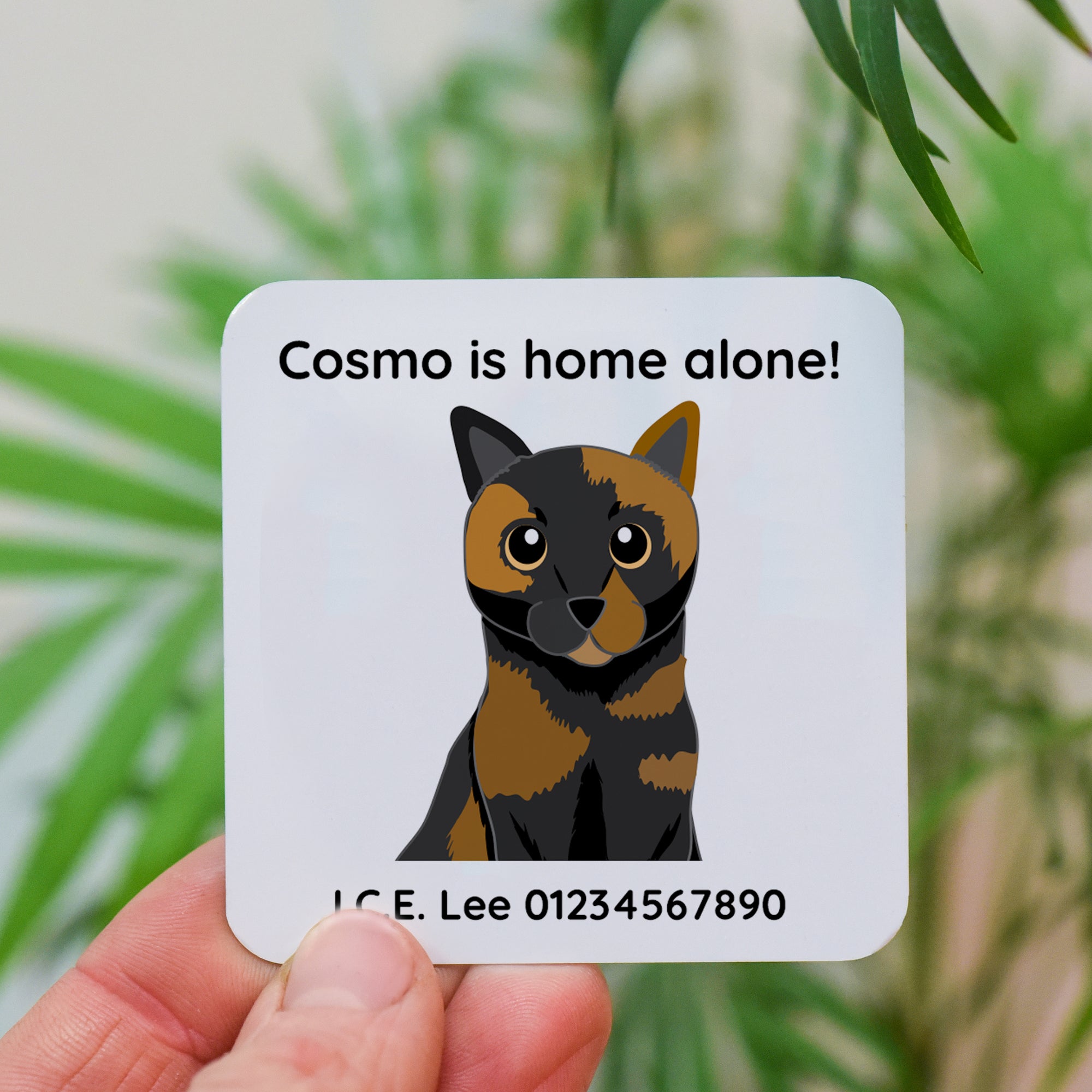 Personalised In Case Of Emergency Cat Home Alone Wallet Metal Card