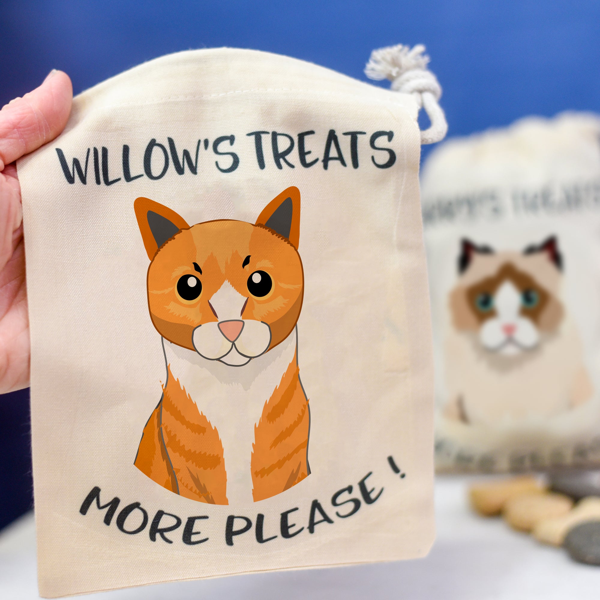 Cat treat Gift bag