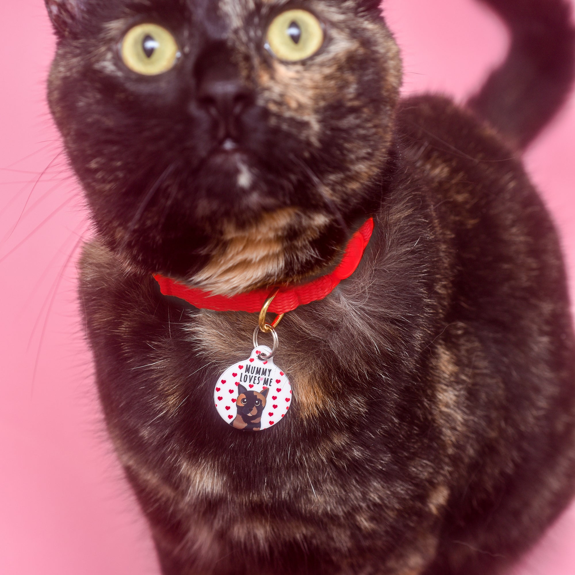 Personalised Cat Love Heart ID Tag