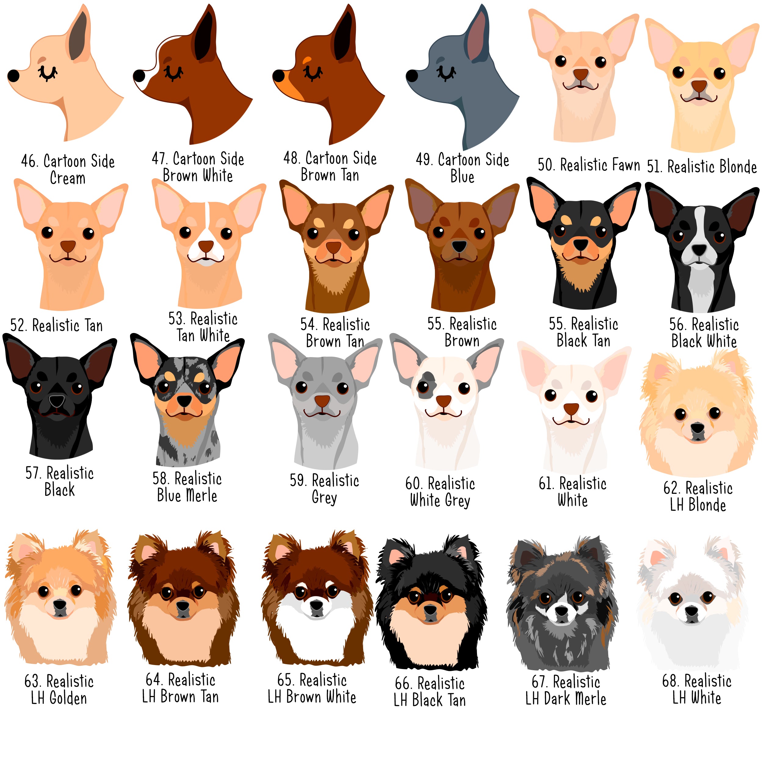 Chart Type Of Chihuahua Breeds Chart Different Types Of Chihuahua