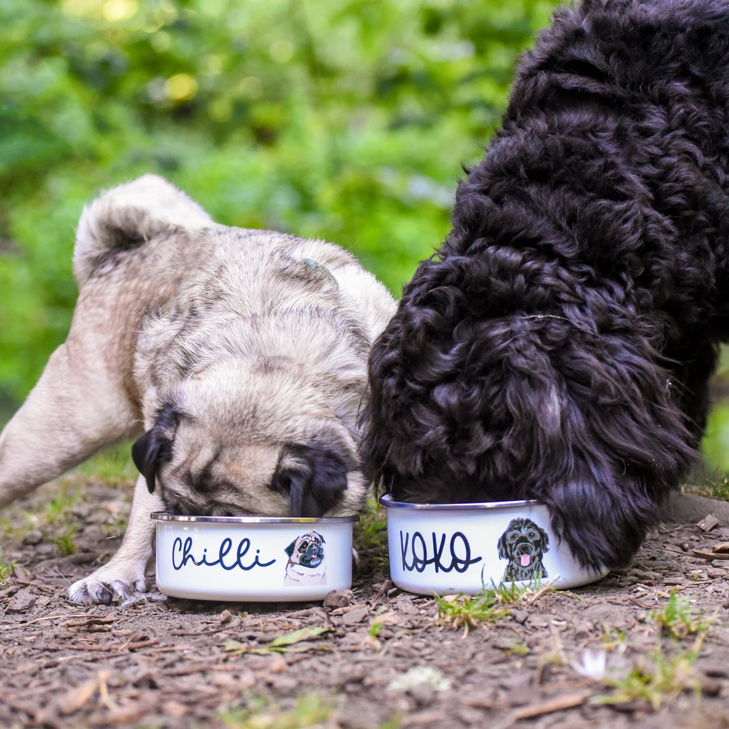 Personalised Enamel Pet Bowl - Realistic Illustrations