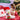 Personalised Elf Outfit Cute Dog Stocking