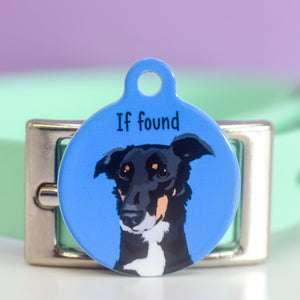 Draw My Pet... On a Coloured Pet Tag