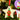 Personalised Elf Dog Christmas Decoration