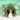 Kooikerhondje Personalised Dog Tag