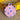 Pink Bluebell Design Only