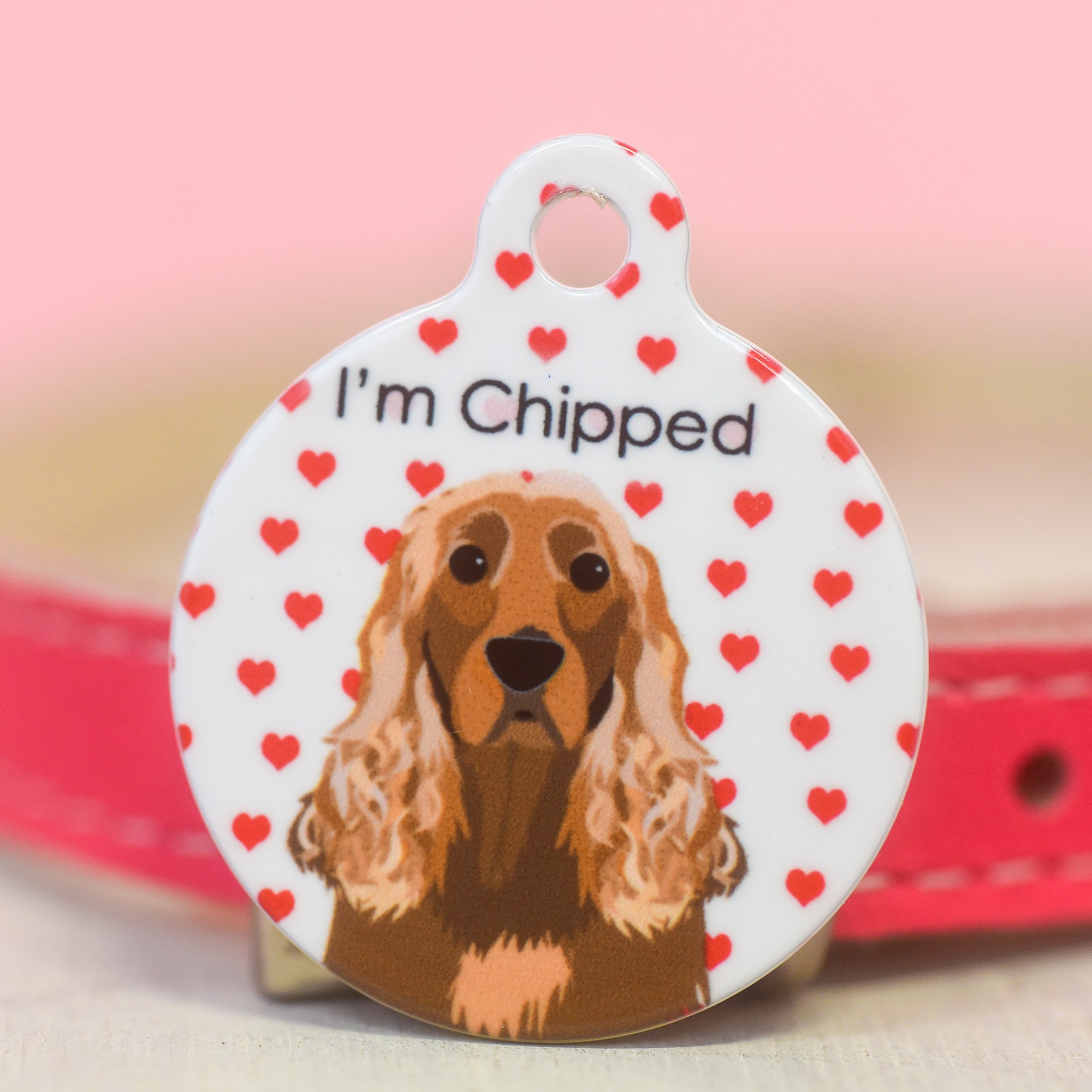 Dog Tag with Tiny Hearts Cascade Personalised ID Tags For Dogs on Valentine's Day