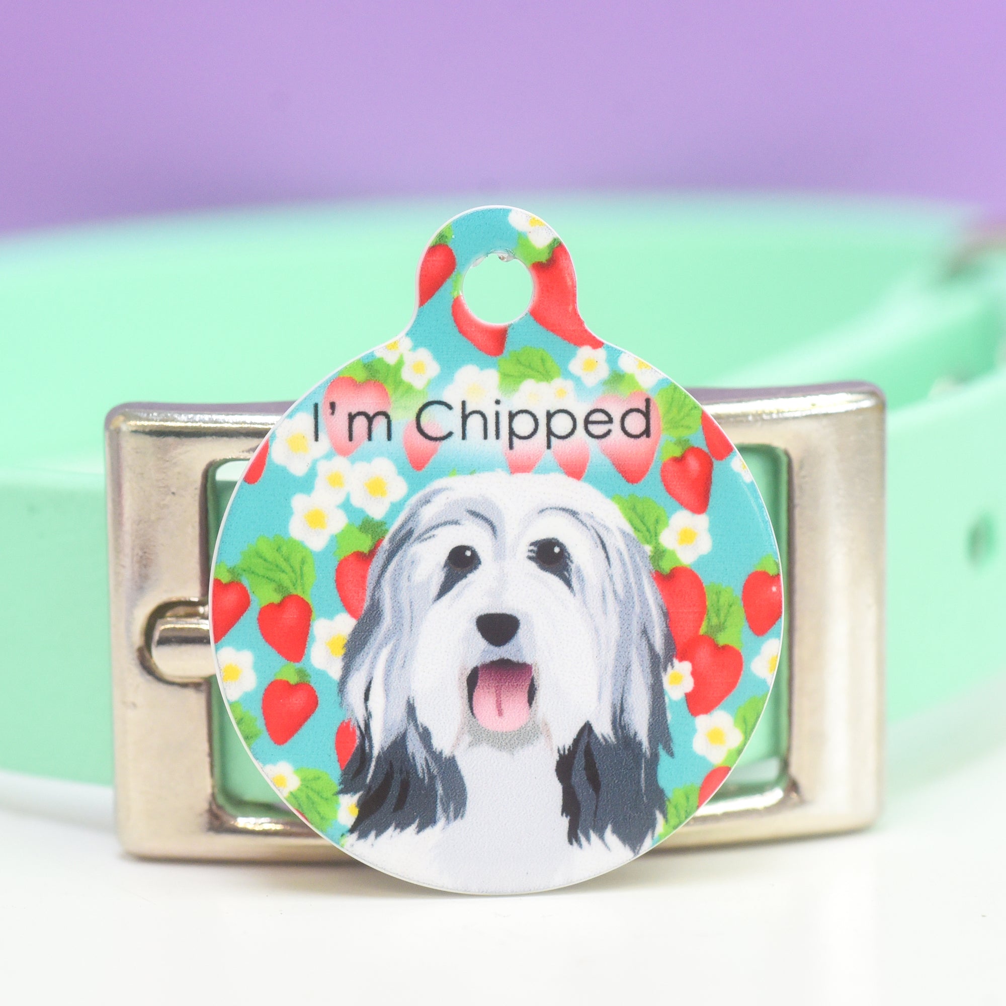 Dog Tag Personalised - Summer Fruits Realistic Illustrations