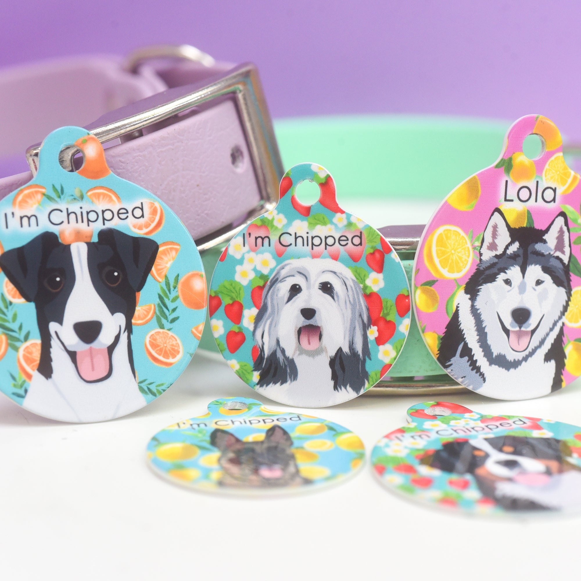 Dog Tag Personalised - Summer Fruits Realistic Illustrations