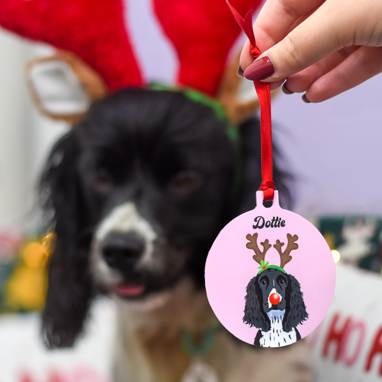Christmas Gift for Dog Lovers Personalised Xmas Elf Dog Decoration — free download