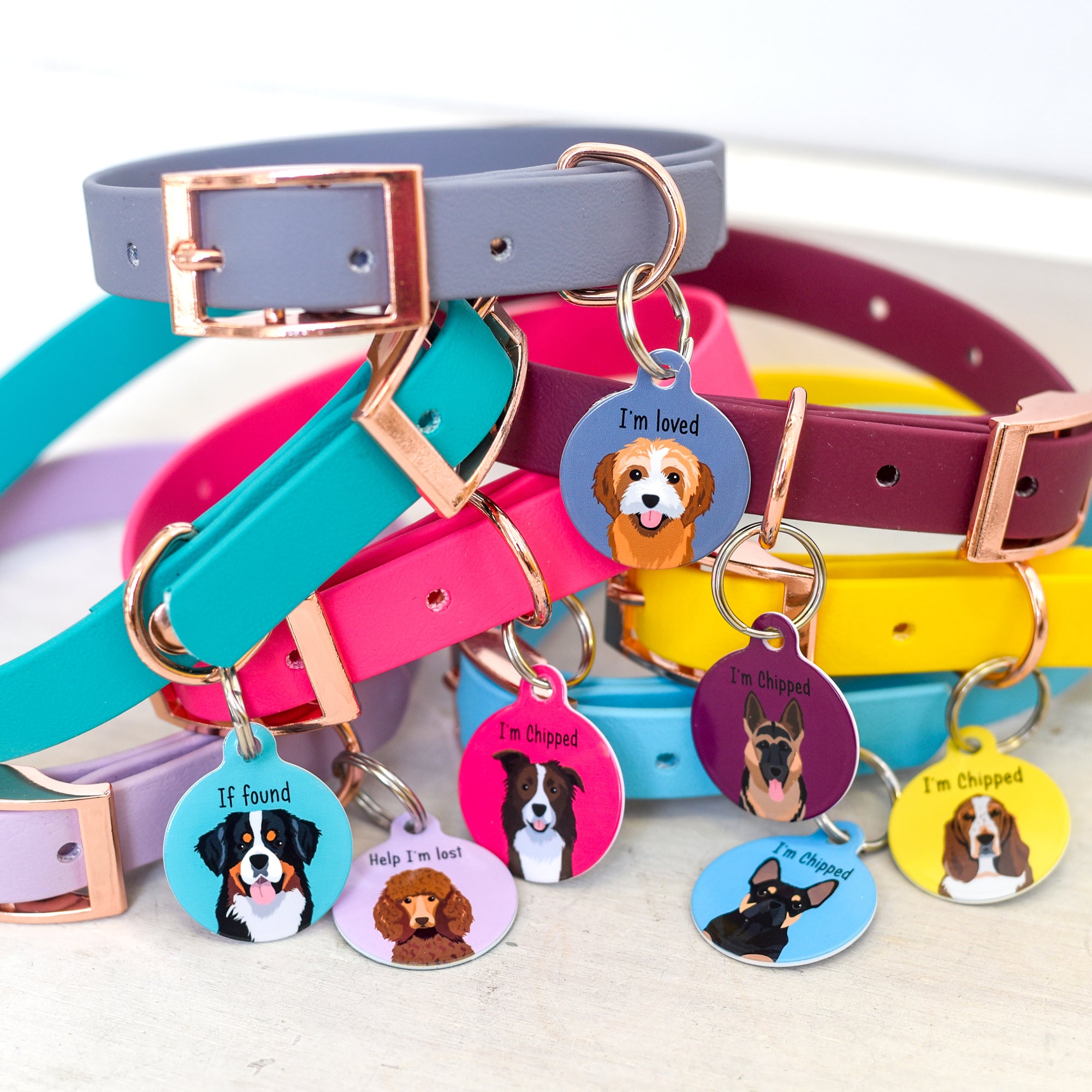 Personalised Dog Collar and Realistic Id Tag