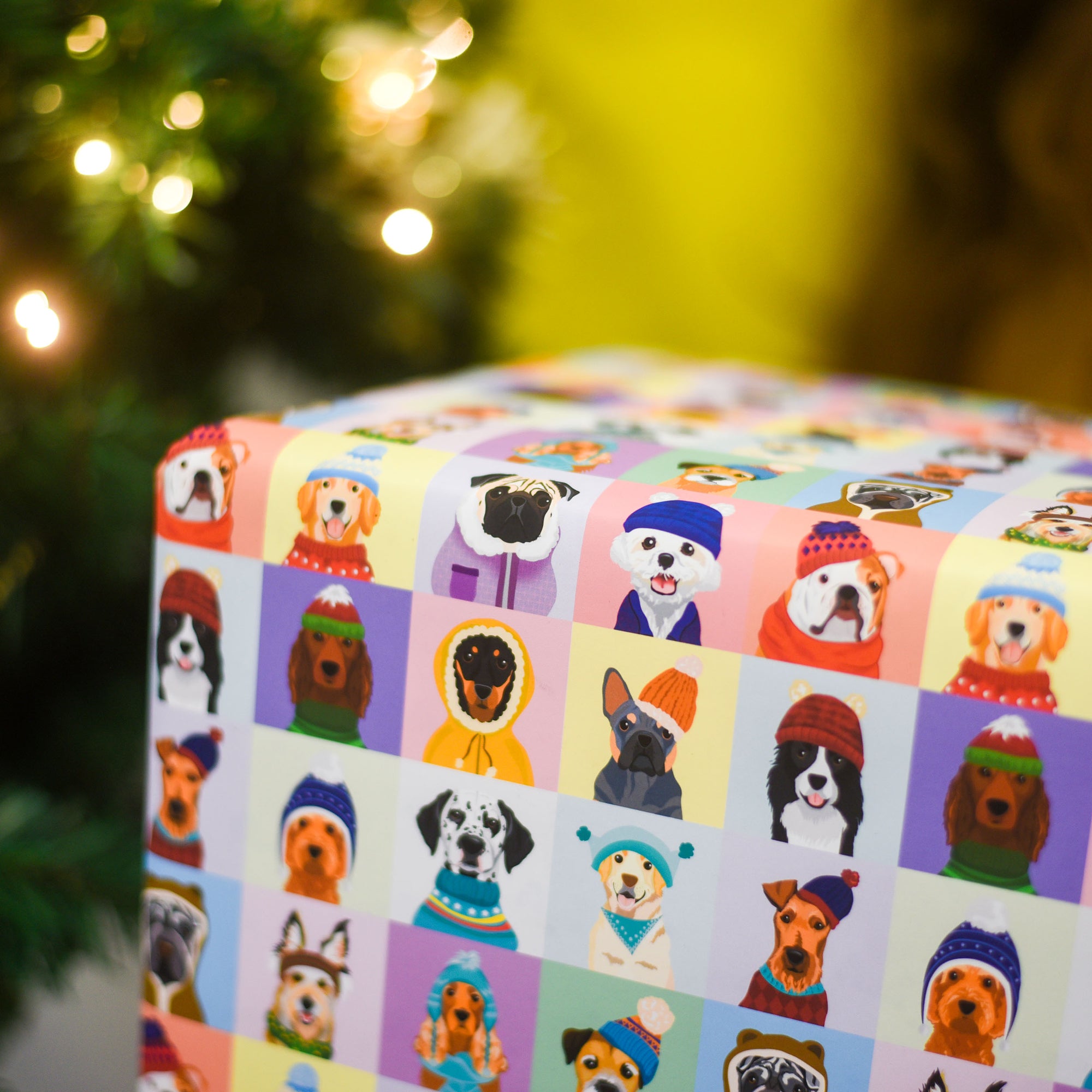 Colour Pop Winter Dogs Christmas Wrapping Paper Two Sheets