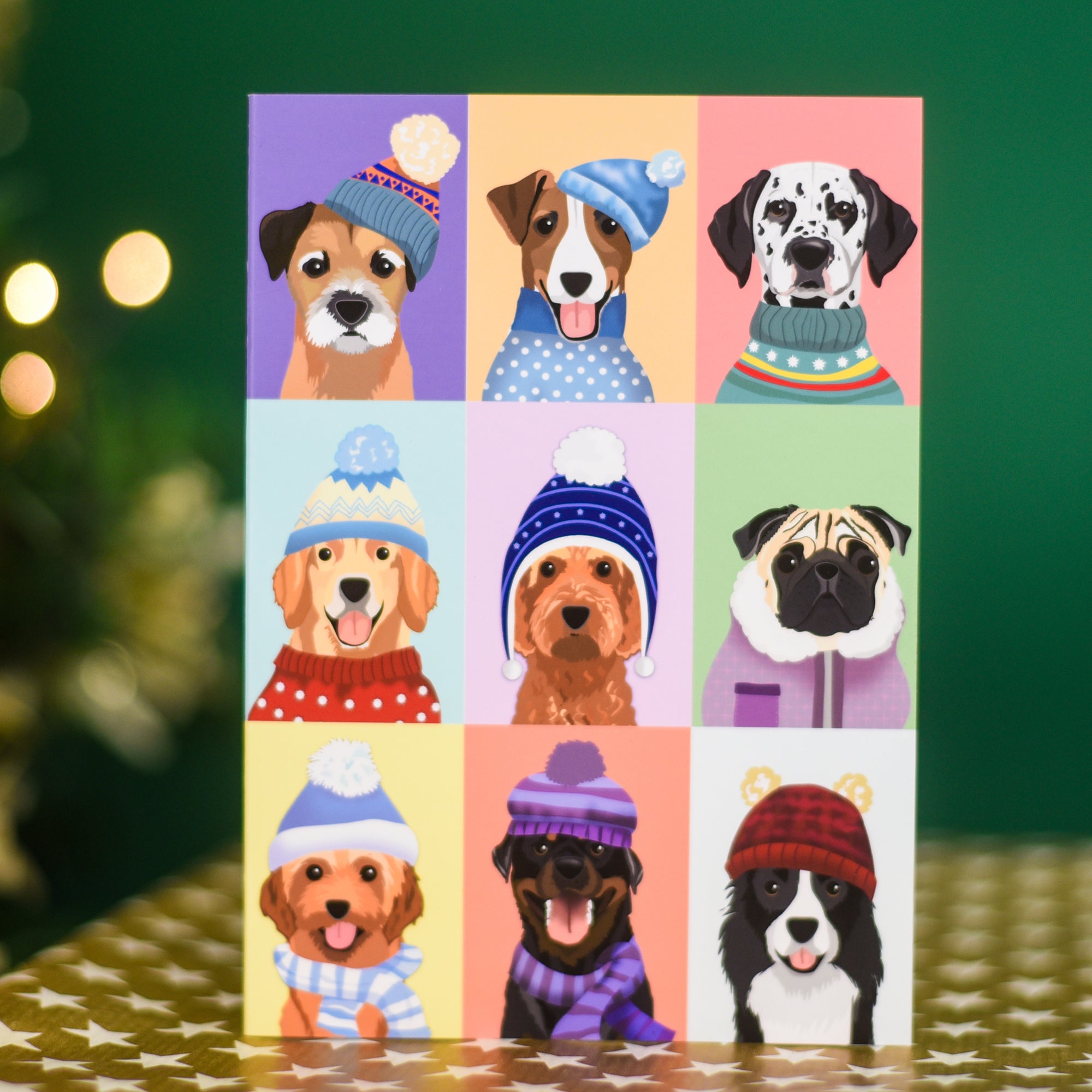 Colour Pop Winter Dogs Greetings Card