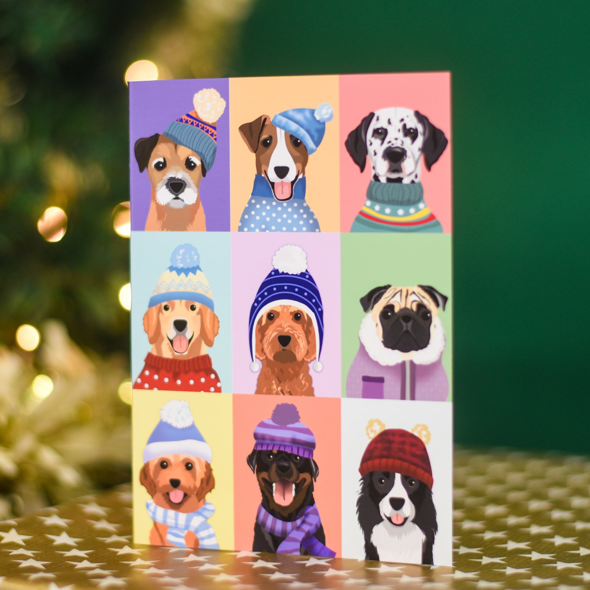 Colour Pop Winter Dogs Greetings Card