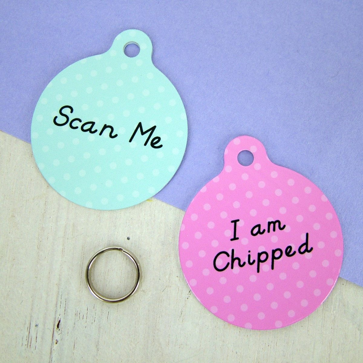 Chipped/Scan Me Pet Tag  - Hoobynoo - Personalised Pet Tags and Gifts