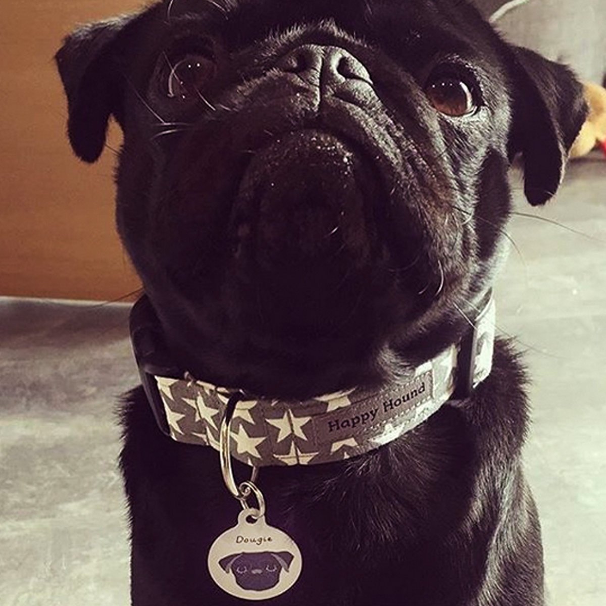 Pug Personalised Dog ID Tag  - Hoobynoo - Personalised Pet Tags and Gifts