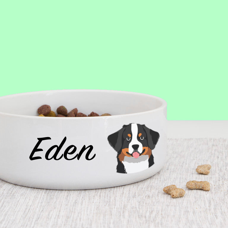 Bernese Mountain Dog Personalised Bold Ceramic Dog Bowl  - Hoobynoo - Personalised Pet Tags and Gifts