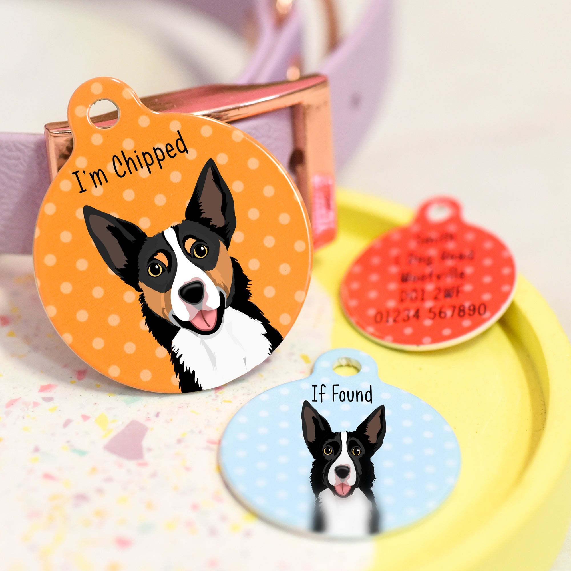 Border Collie Short Hair Realistic Personalised Dog ID Tag