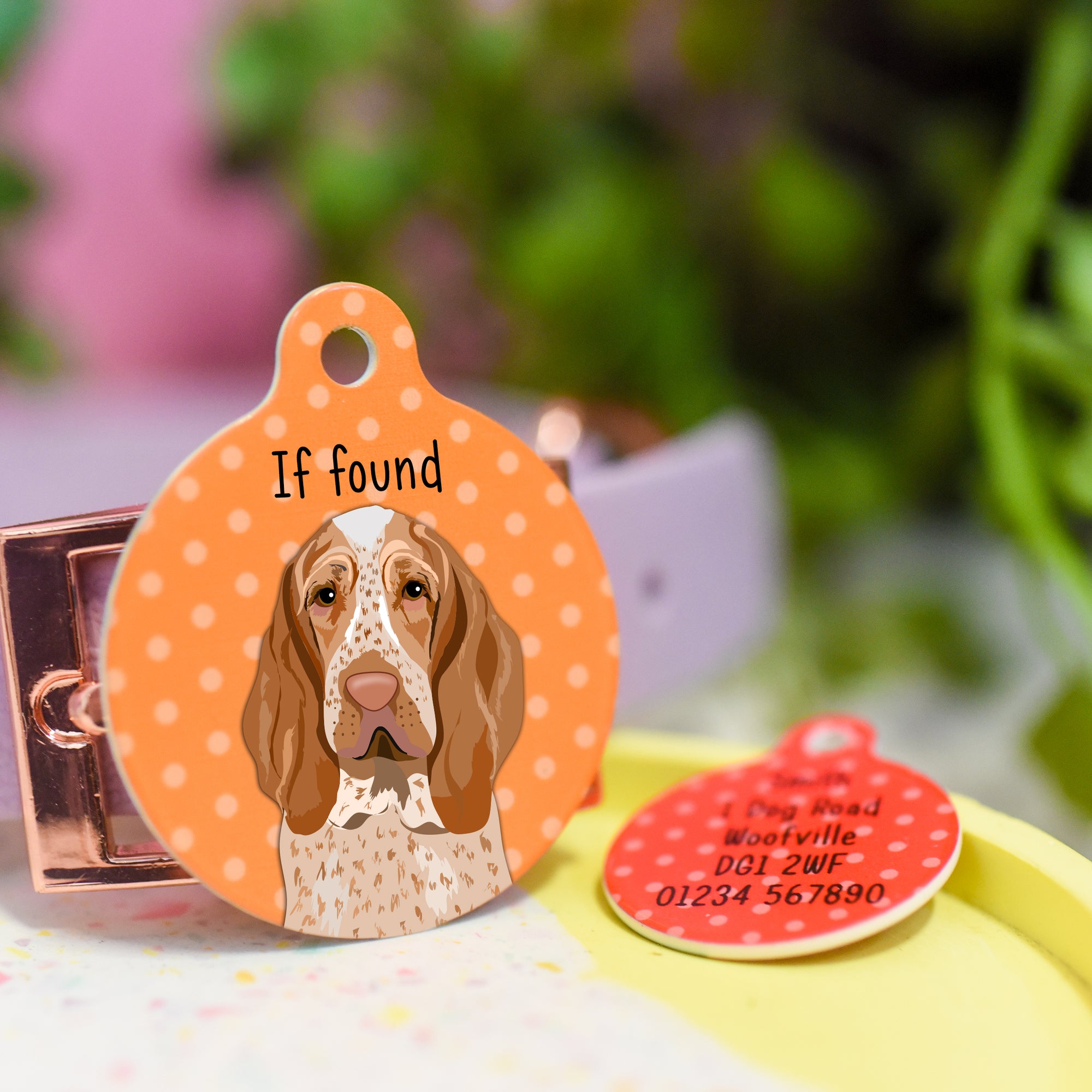 Bracco Italiano Realistic Personalised Dog ID Tag