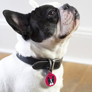 French Bulldog Personalised Pet ID Tag  - Hoobynoo - Personalised Pet Tags and Gifts