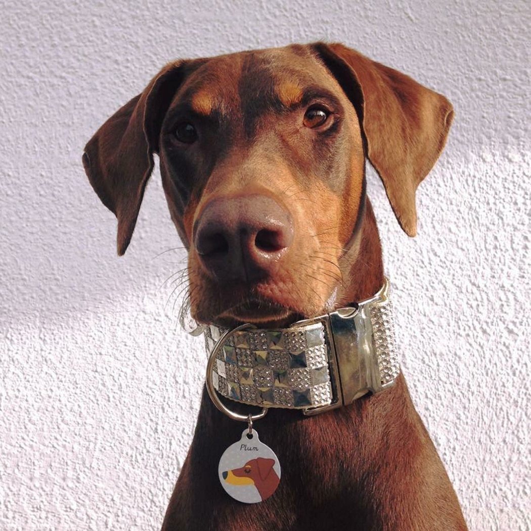 Doberman Personalised Dog Name ID Tag  - Hoobynoo - Personalised Pet Tags and Gifts