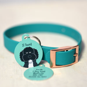 Personalised Dog Collar and Id Tag